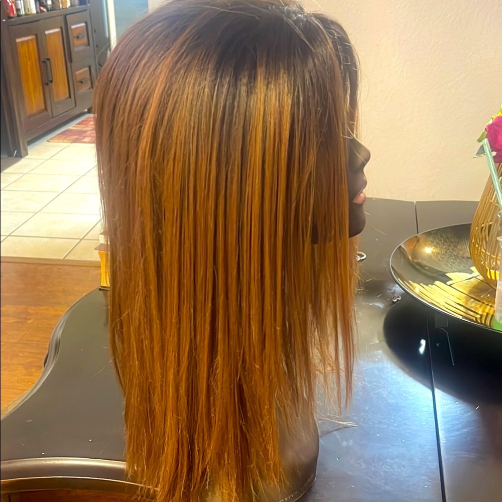 Elegant Brown Ombre Wig